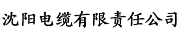 香蕉午夜视频电缆厂logo